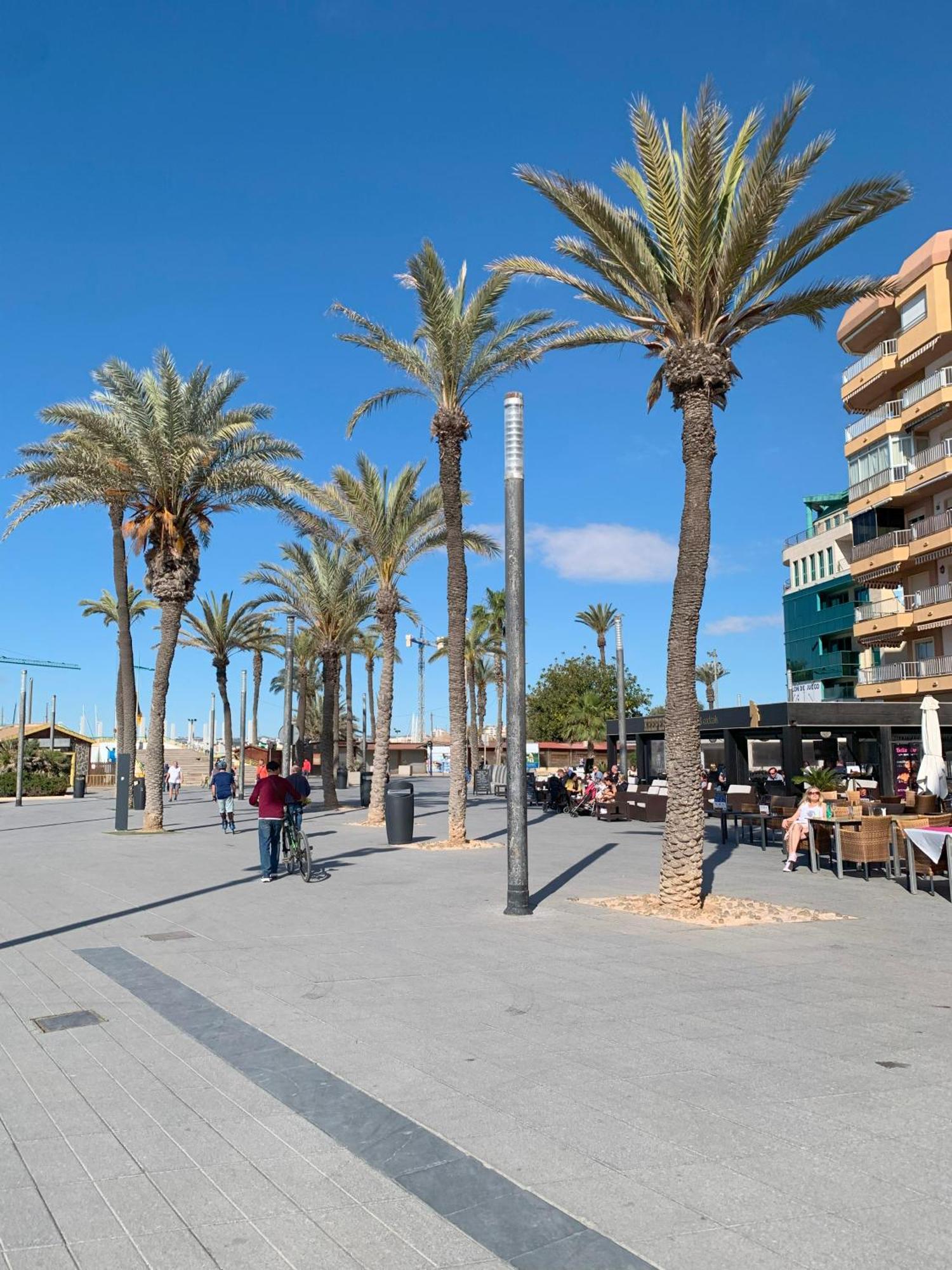 Princesa Blanka By Zanis Torrevieja Eksteriør bilde